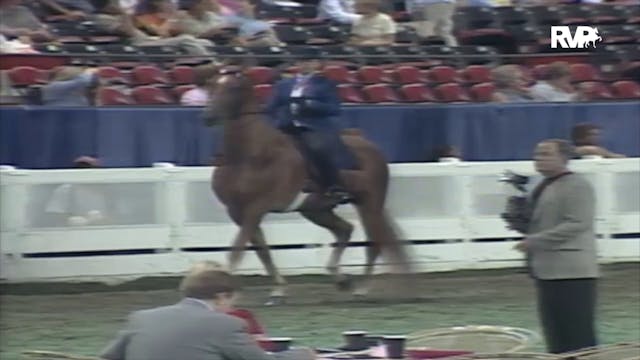 2000 WCHS Class 81 ASB Three Gaited S...