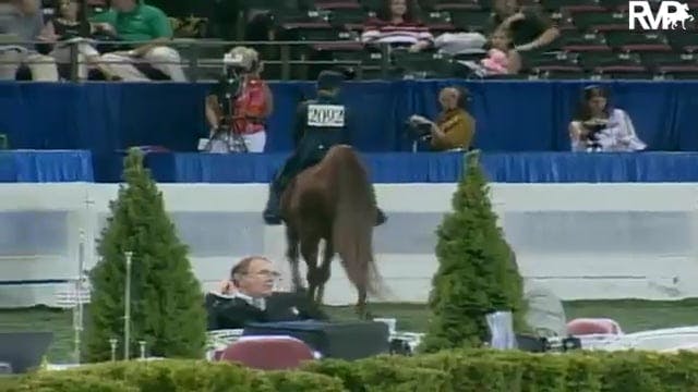 2003 WCHS Class 30 Junior Exhibitor T...