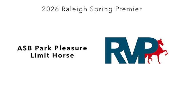 RSP26 - Class 53 - ASB Park Pleasure ...