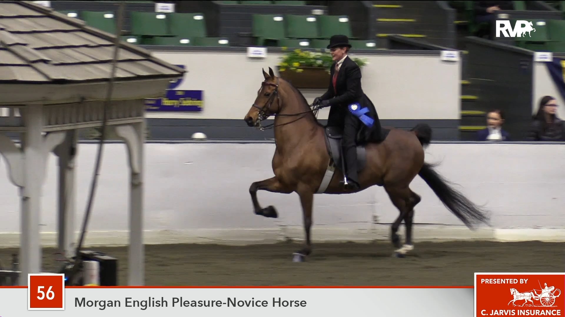 UPHA14-18 Class 56 Equinox Just Cavalli