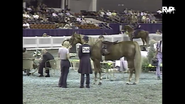 1999 WCHS - Class 169 National Horse ...