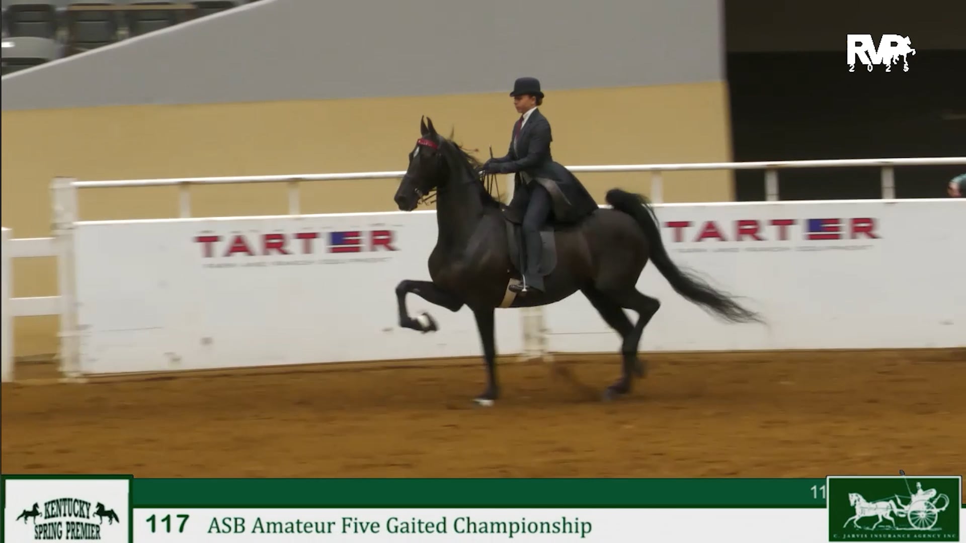 KYSP25 - Class 117 - ASB Five Gaited Amateur Championship
