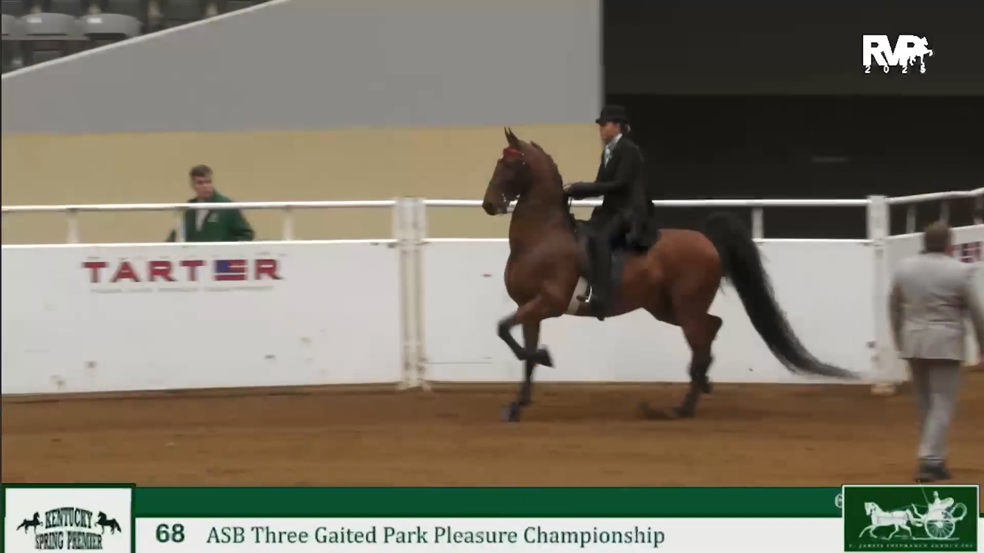 KYSP25 - Class 68 - ASB Three Gaited Park Pleasure Championship