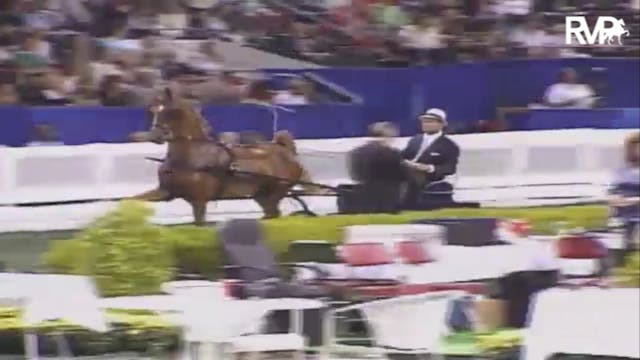 2007 WCHS Class 196 ASR Futurity Of K...