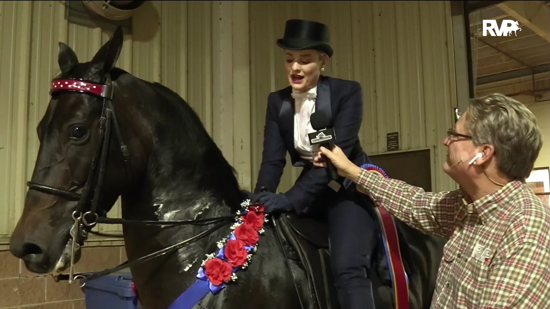 MGN19 - BRMF Lailanis Fireball GCH - Class 181