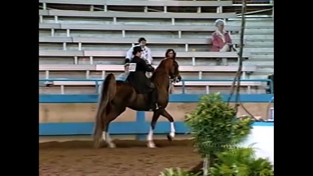 1999 Des Moines Spring Horse Show - 5...