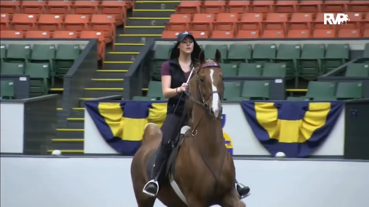 UPHA Ch14 2017 - Friday Afternoon