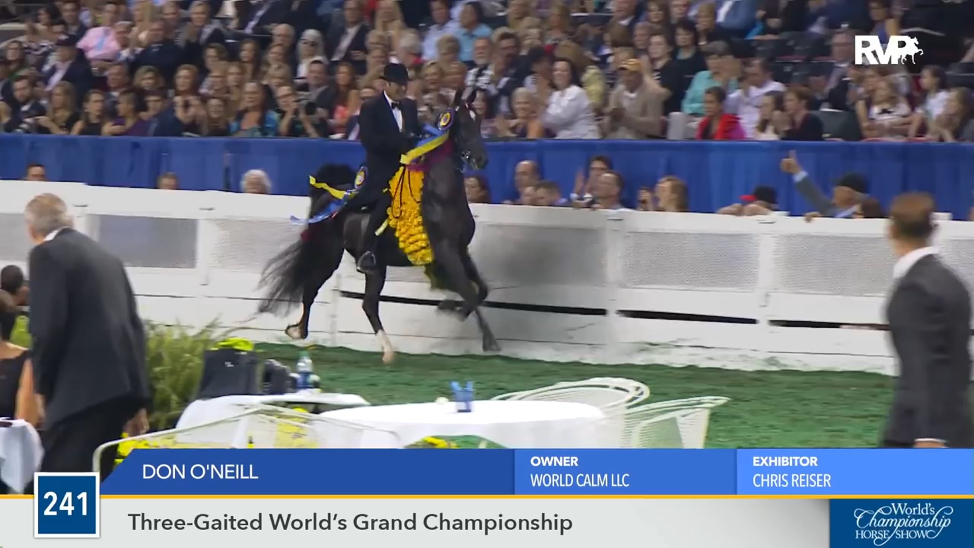 WCHS16 - Don O'Neill - Grand Championship