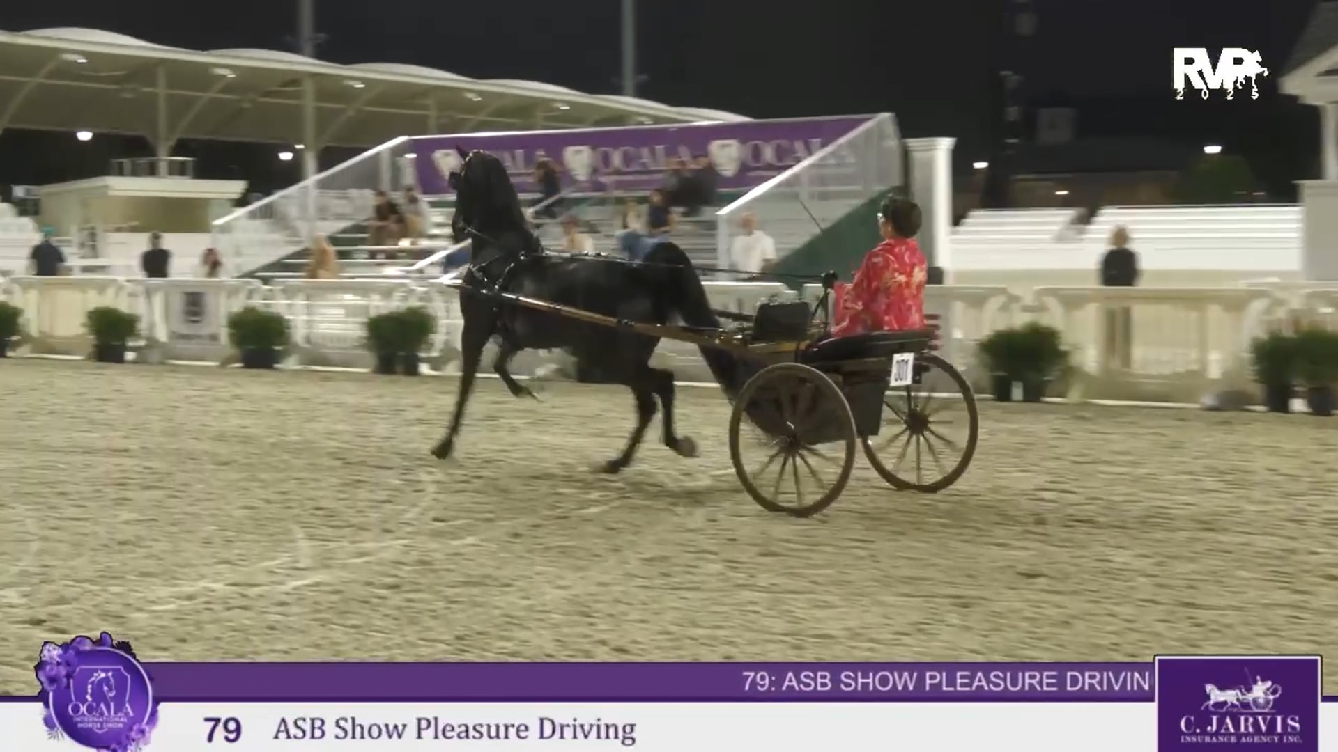 OI25 - Class 79 - ASB Show Pleasure Driving