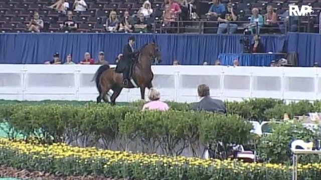 2010 World's Championship Horse Show ...