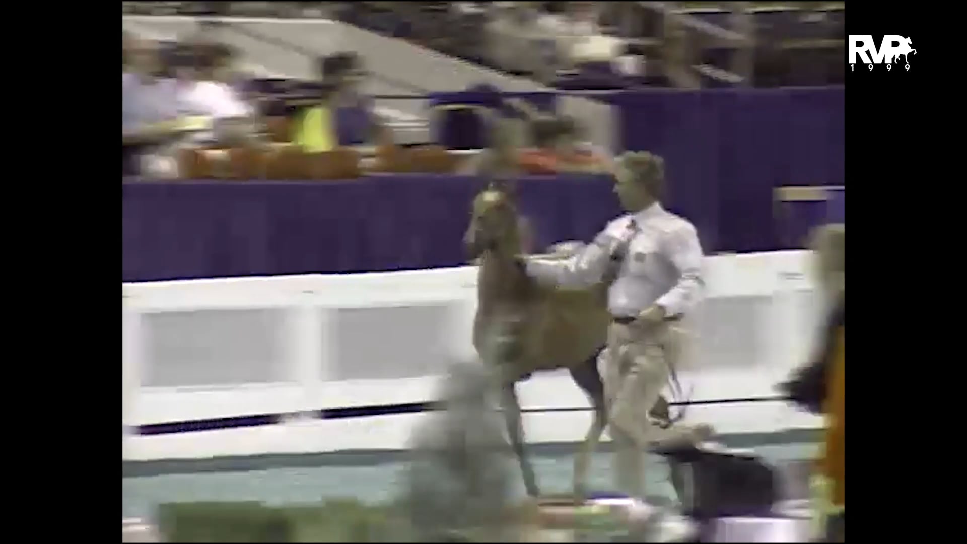 1999 WCHS - Class 1 ASHA Kentucky Futurity - Weanlings