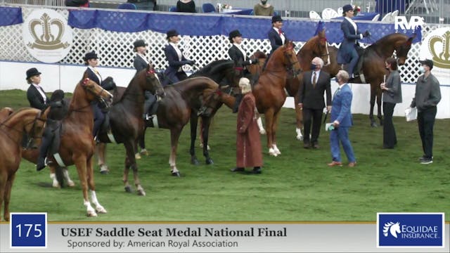 2020 AR - Class 175 USEF Saddle Seat ...
