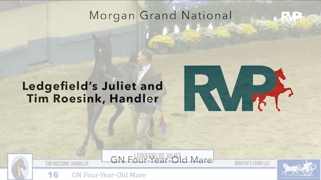 MGN24 - Class 16 - Ledgefield's Julie...