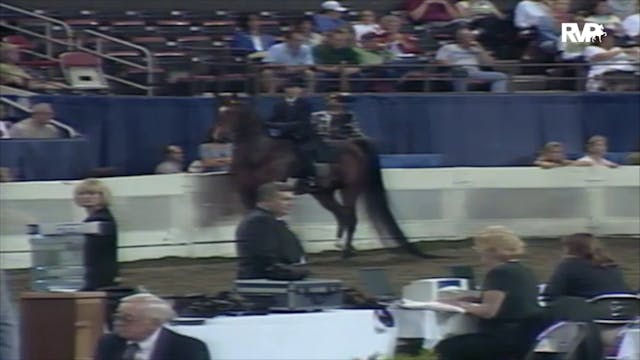 2000 WCHS Class 204 ASB Three Gaited ...