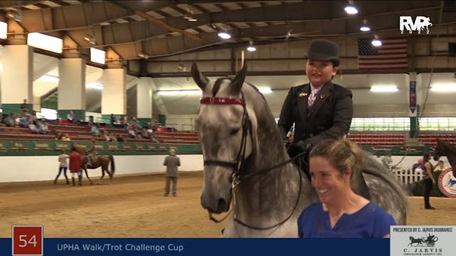 NCSC22 - Class 54 - UPHA Walk-Trot Ch...