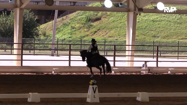 MGN19 - Class 617 - Western Dressage ...