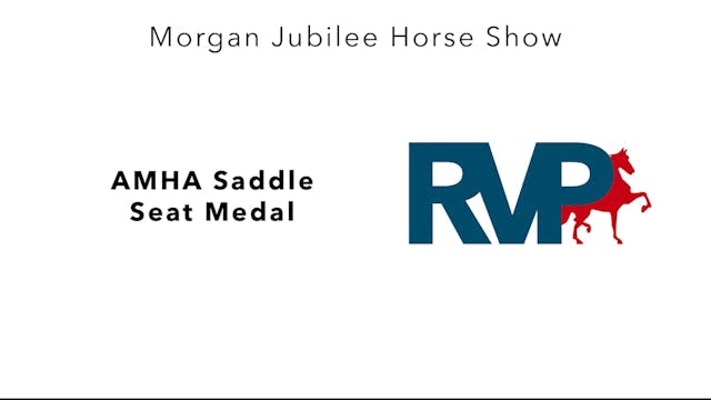 MJ23 - Class 89 - AMHA Saddle Seat Medal