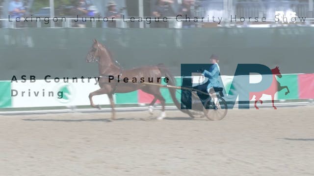 LJL22- Class 3 - ASB County Pleasure ...