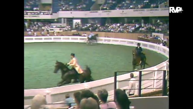 1988 WCHS Class 112 Junior Exhibitor ...