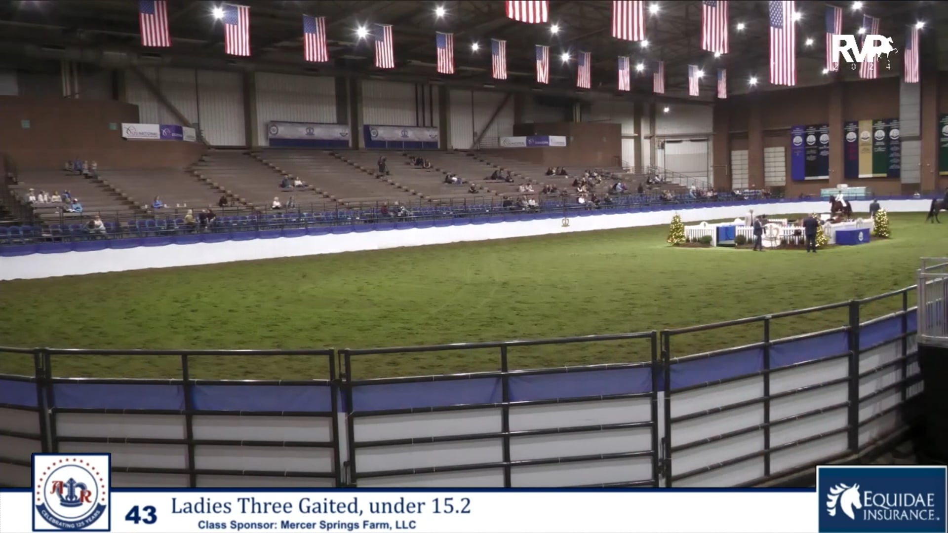 AR24 - Class 43 - Ladies Three Gaited Under 15.2