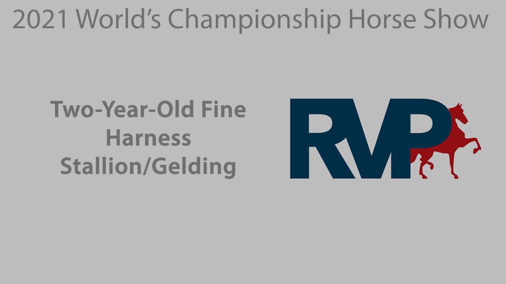 WCHS21 - Class 191 - Two-Year-Old Fine Harness Stallion Gelding
