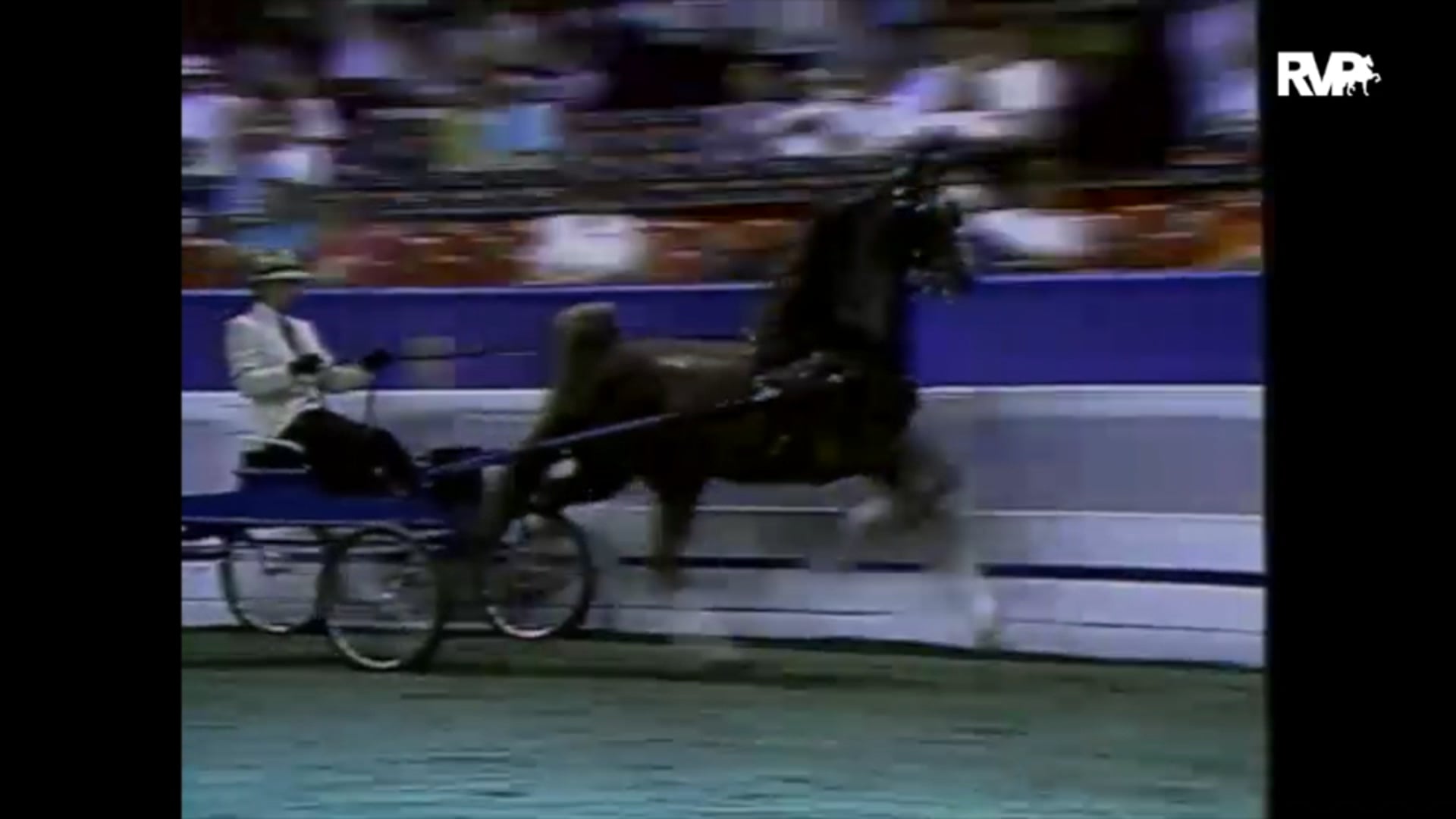 1993 WCHS Looking Back - Mike Barlow With Roselane's Secret Rhythm  