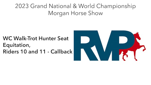 MGN23 - Class 381 - WC Walk-Trot Hunt...