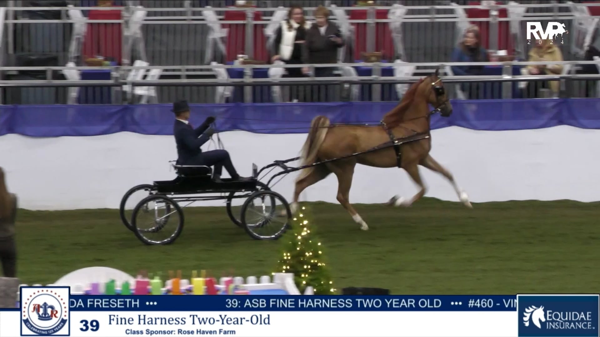 AR24 - Class 39 - Fine Harness Two-Year-Old