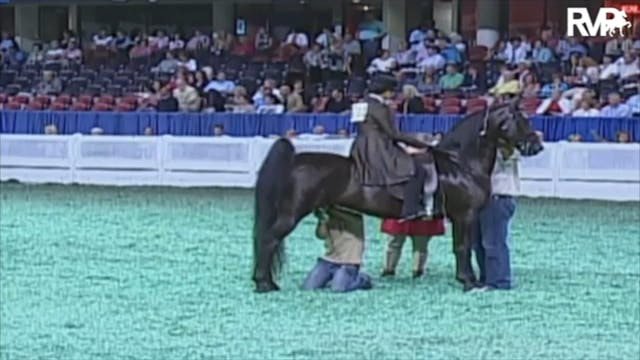 2009-2013 WCHS Junior Five Gaited Cla...