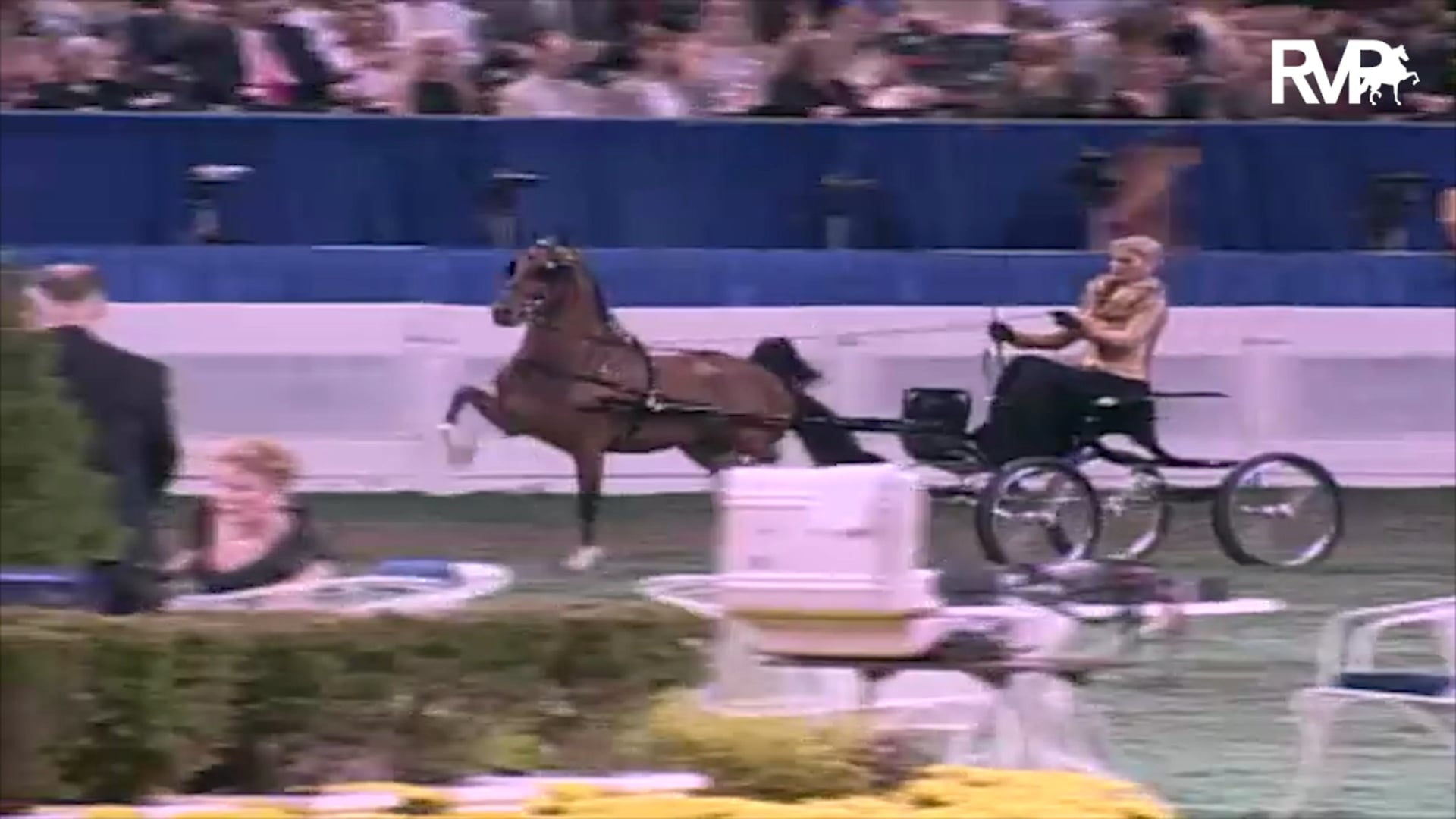 2003 WCHS Class 228 Harness Pony Grand Championship