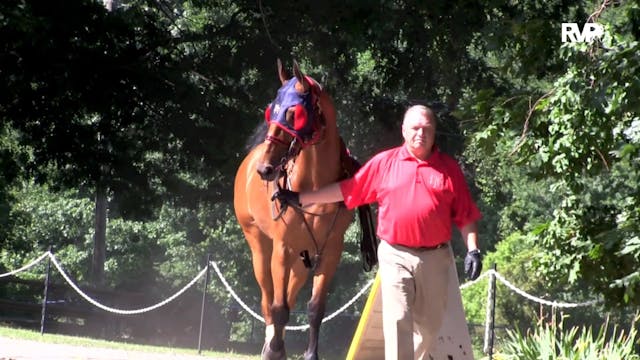 2019 Blue Ridge Classic Horse Show - ...