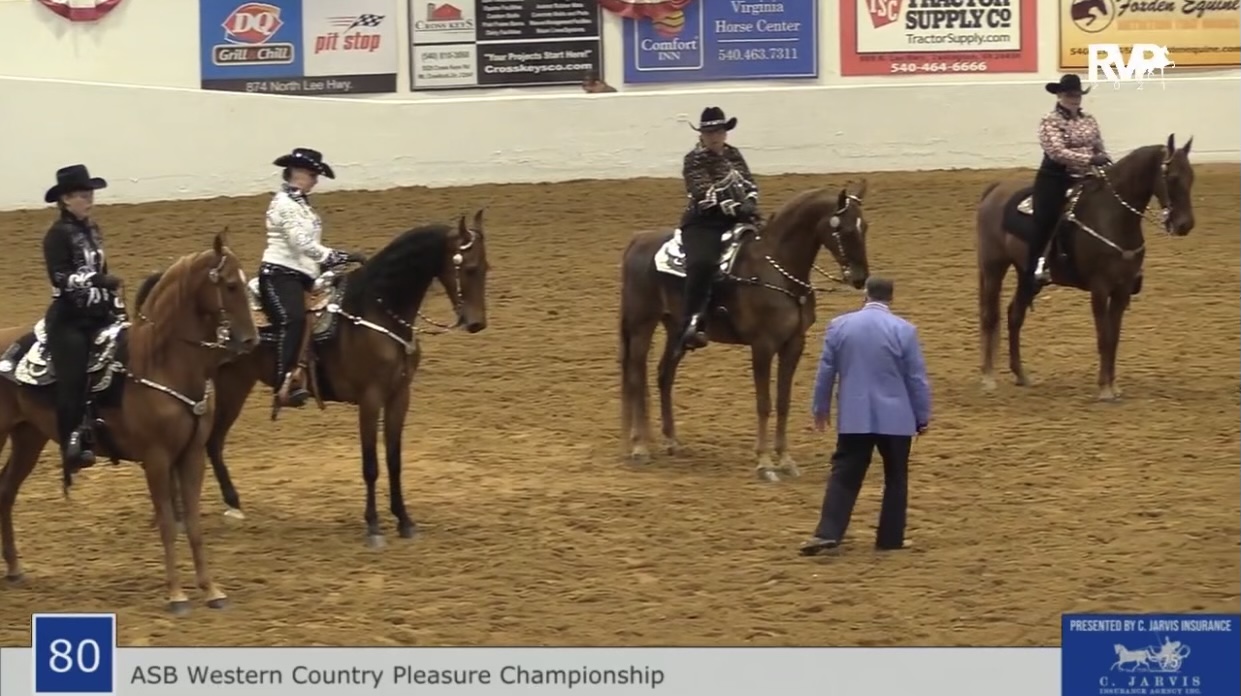 BB21 - Class 80 - ASB Western Country Pleasure Championship