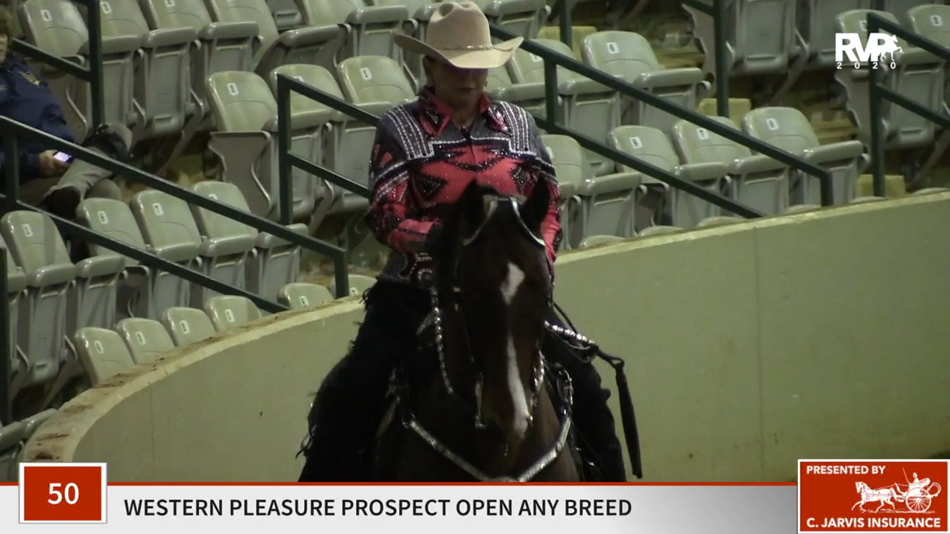 2020 SSFF - Class 50 Western Pleasure Prospect Open
Any Breed