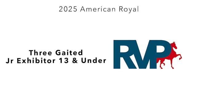 KC25 - Class 98 - Three Gaited Jr Exh...