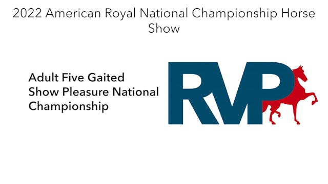 AR22 - Class 117 - Adult Five Gaited ...