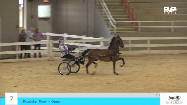 ASF22 - Class 7 - Open Roadster Pony