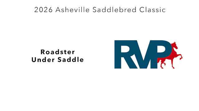 ASC26 - Class 19 - Roadster Under Saddle