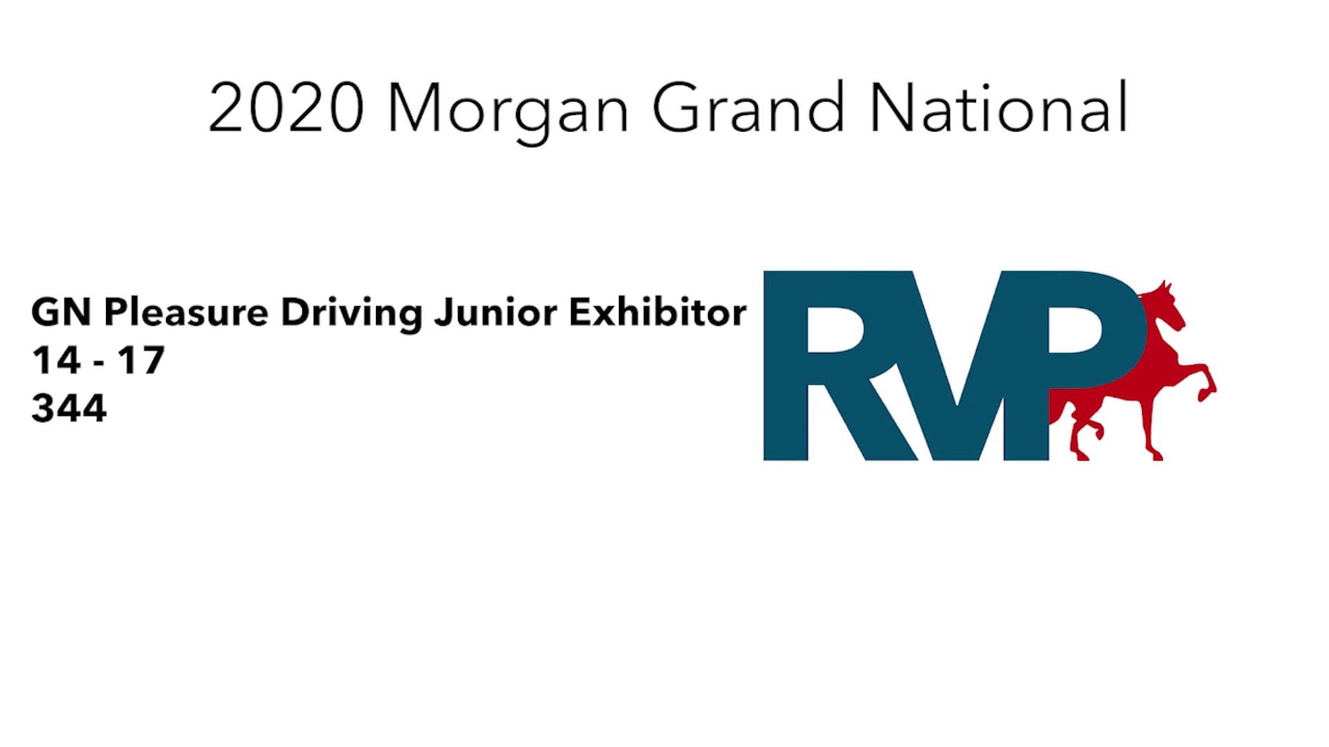 2020 MGN - 344 GN Pleasure Driving Junior Exhibitor 14-17