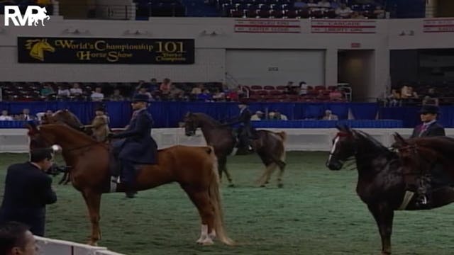 2004 World's Championship Horse Show ...