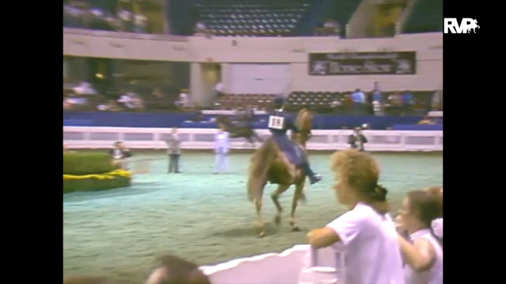 1993 WCHS Class 149 UPHA Adult National Equitation Championship