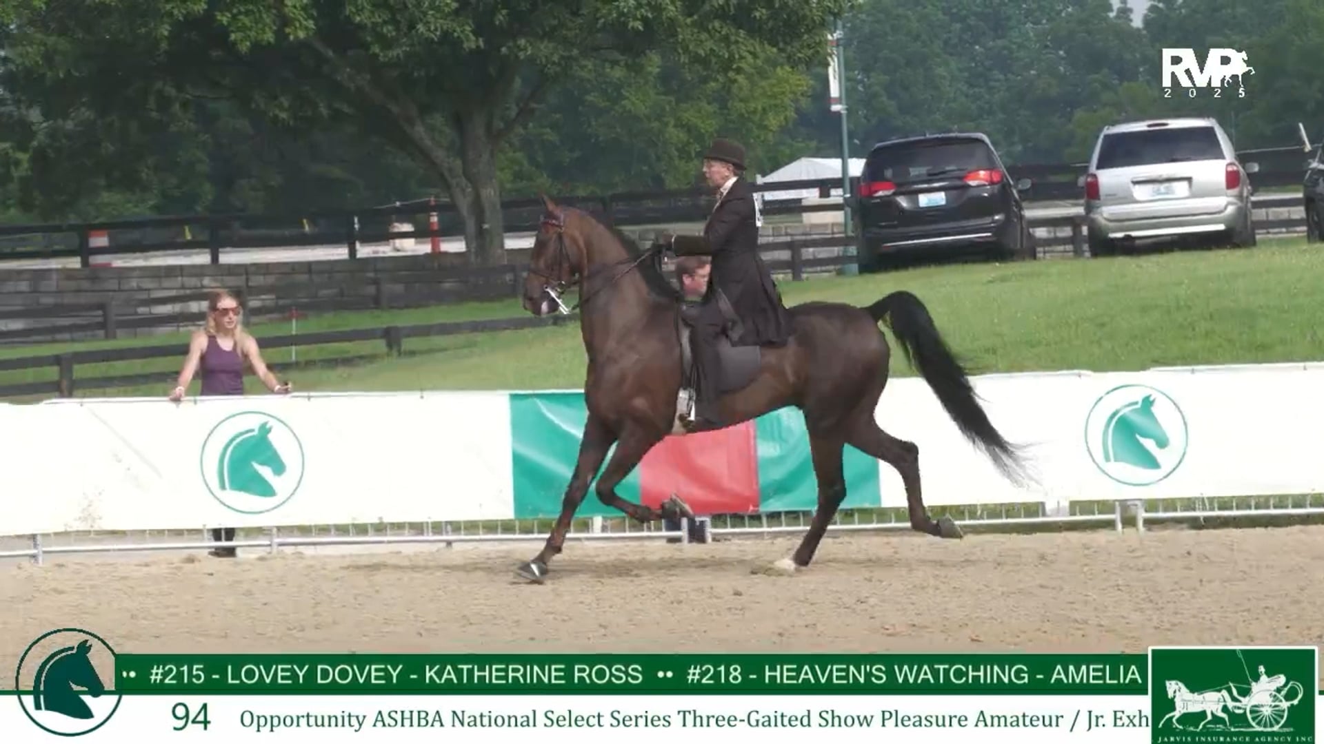 LJL25 - Class 94 - Opportunity ASHBA National Select Series Three Gaited Show Pleasure Amateur-Jr Exhibitor