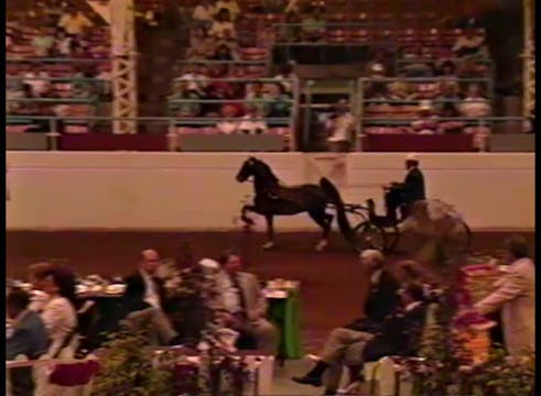 1990 Illinois State Fair - Fine Harne...