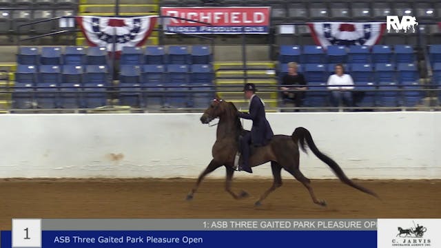BB22 - Class 1 -  ASB Three Gaited Pa...
