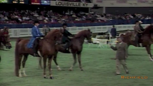 2001 WCHS - Class 87A - Junior Exhibi...