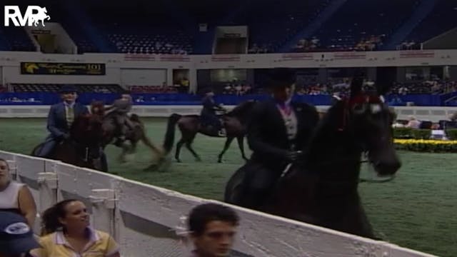 2004 World's Championship Horse Show ...