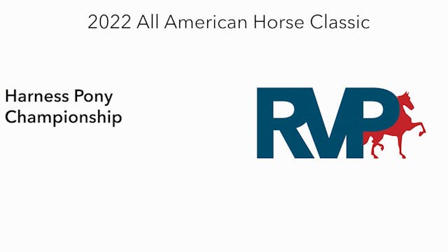 AAC22 - Class 162 -  Harness Pony Cha...
