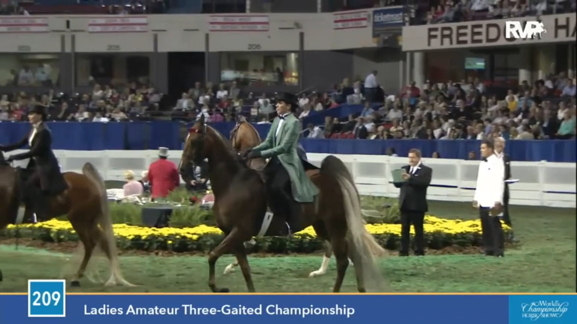 2015 WCHS - Class 209 Ladies Amateur Three Gaited
 Championship