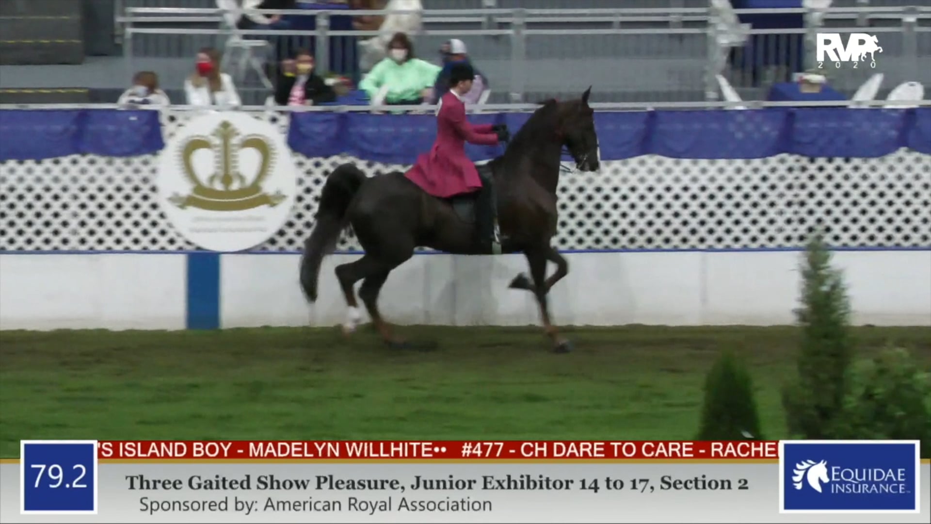 2020 AR - Class 79.2 Three Gaited Show Pleasure
Junior Exhibitor 14-17 Section 2