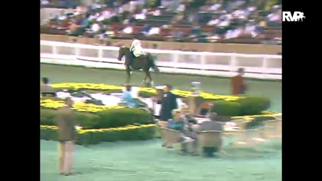 1988 WCHS Class 92 Five Gaited Pony R...
