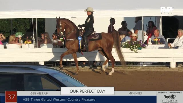 SHS22 - Class 37 -  Our Perfect Day a...